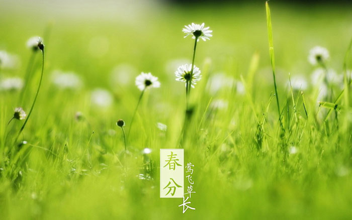 即便是春風十裏，依然不如你